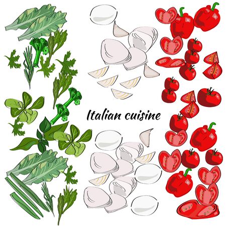 Italian basic ingredients. Vector drawn menu frame i the form of a flag.のイラスト素材