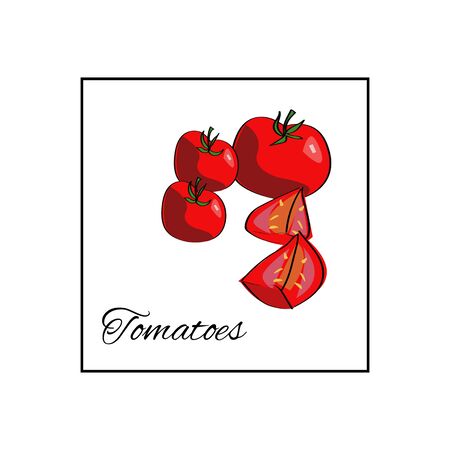 Tomato. Isolated vector drawn vegetables on white backgroundのイラスト素材