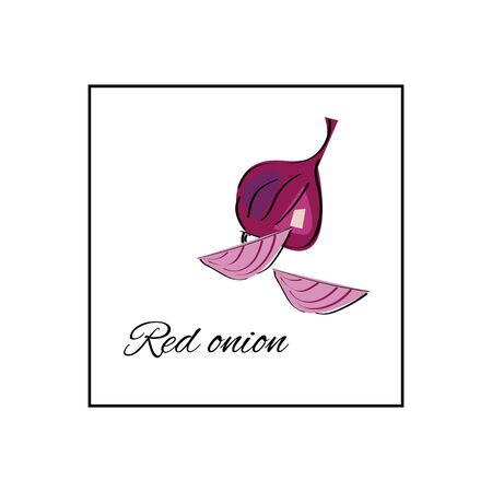 Red onion whole and sliced vector illustrationのイラスト素材