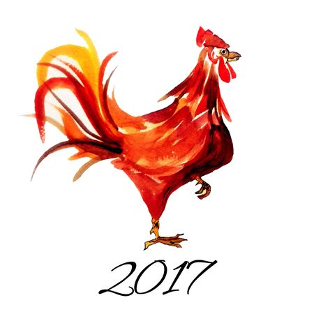 Watercolor drawn red rooster. Chinese new year symbol.の写真素材