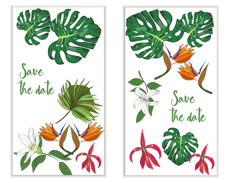 Vertical vector banners of hand drawn tropical leaves and flowers. Save the date card.のイラスト素材