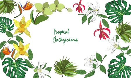 Exotic collection of hand drawn tropic leaves and flowers. Tropical background.のイラスト素材