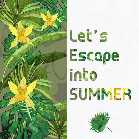 Let's escape into summer tropical summer collection of hand drawn exotic leaves.のイラスト素材