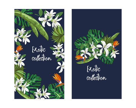 Vector tropical banner with leaves and flowers. Design for packaging, tea shop, drink menu, homeopathy and health care products. Exotic collection.のイラスト素材