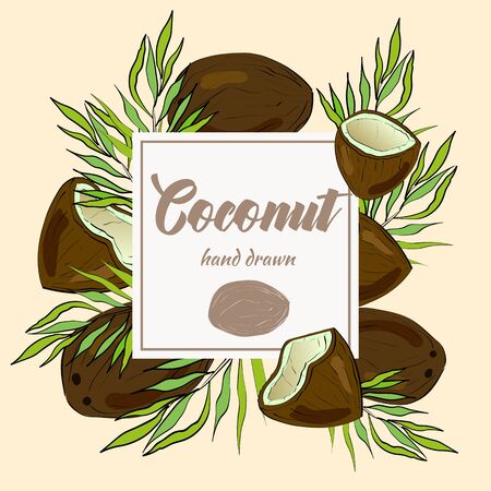 Hand drawn coconut with palm leaves.のイラスト素材