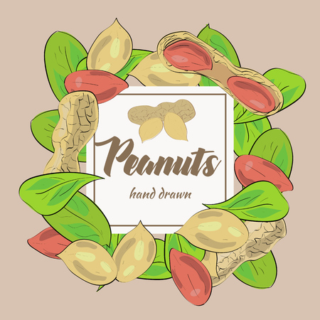 Hand drawn peanuts with palm leaves. Package design.のイラスト素材