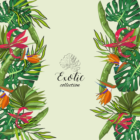 Tropical hand drawn exotic collection background with leaves and flowers.のイラスト素材