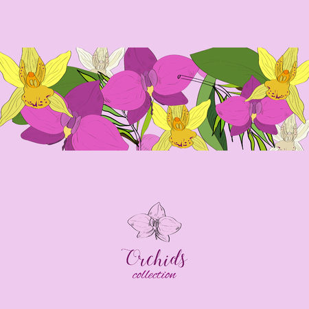 Tropical hand drawn exotic collection background with orchids flowers.のイラスト素材
