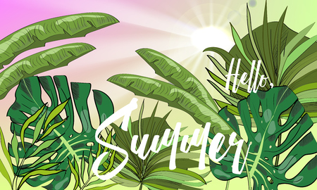Hand drawn background with tropical leaves, flowers, and sun. Hello, summer.のイラスト素材