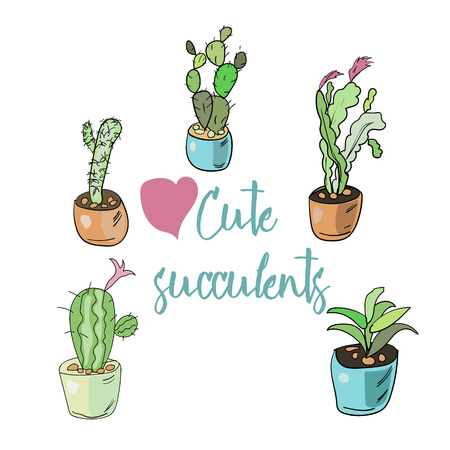 Hand drawn potted succulents set in a doodle style. Sketch cacti illustration.のイラスト素材