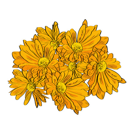 Hand drawn floral composition with yellow chrysanthemum. Sketch style.のイラスト素材