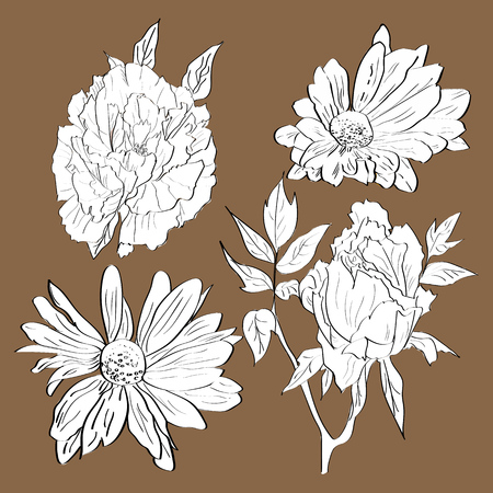 Vector set of hand drawn white peonies and chrysanthemum flowers in a sketch style.のイラスト素材