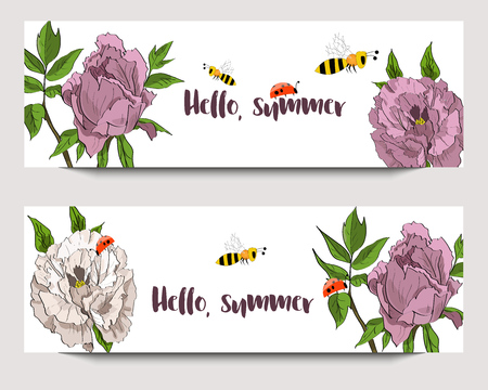 Hand drawn banners with white and rosy peonies, funny bees and ladybirds. Sketch style. Hello, summer.のイラスト素材