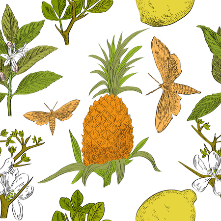 Seamless vector pattern of hand drawn fruits with flowers and leaves. Tropical background.のイラスト素材
