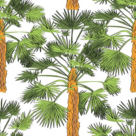 Vector drawn fan palm tree seamless pattern on white background in a sketch style. Exotic collection.のイラスト素材