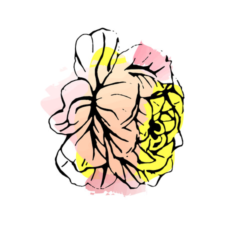 Hand drawn vector rose flower. Sketch on watercolor background.のイラスト素材