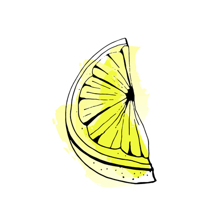 Hand drawn vector lemon slice. Sketch on watercolor background.のイラスト素材