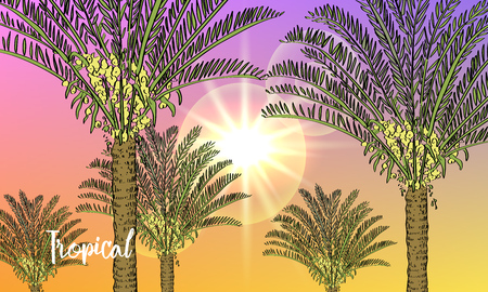 Vector drawn exotic background with tropical palmsand sun. Tropical background.のイラスト素材