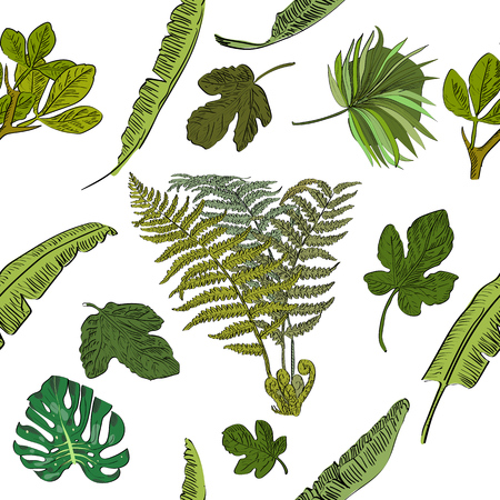 Seamless vector pattern of hand drawn tropical palm leaves. Exotic collection. An idea for design, invitation, save the date card.のイラスト素材