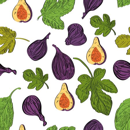 Vector drawn seamless pattern with figs on white background in a sketch style. Exotic collection.のイラスト素材
