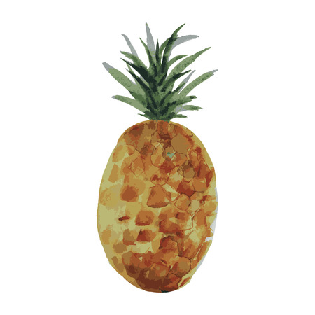 Watercolor drawn pineapple on white background. Hand drawn.の写真素材