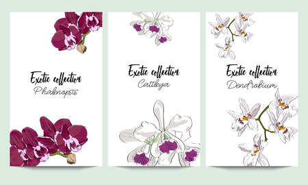 Vertical vector banners of orchids exotic collection. An idea for design, invitation.のイラスト素材