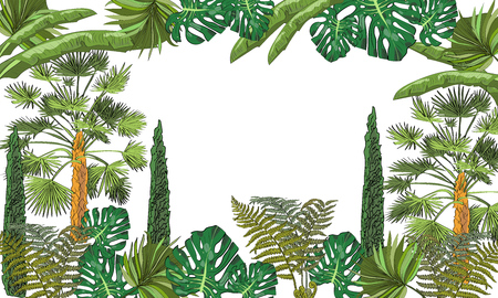Vector tropical background with drawn trees and palm leaves.のイラスト素材