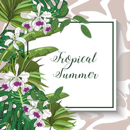Vector drawn tropical summer card with exotic flowers and leaves isolated.のイラスト素材