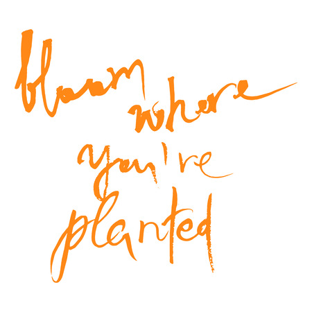Bloom where you are planted Ink illustration. Modern brush calligraphy. Isolated on white background.のイラスト素材