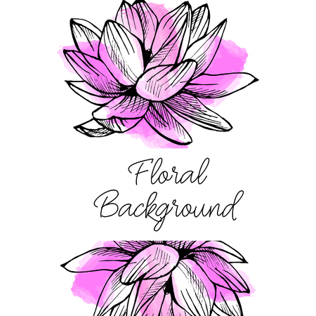 Vector drawn floral border with hand drawn flowers on watercolor background. Lotus designのイラスト素材