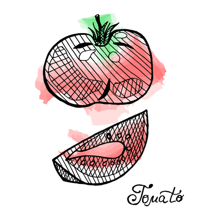 Vector set of hand drawn tomato with slices on watercolor background. Juice design template.のイラスト素材