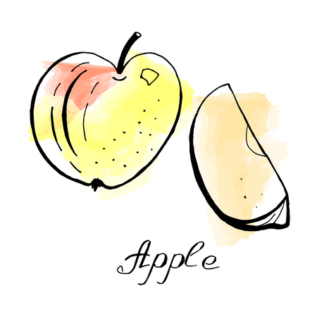 Vector set of hand drawn apple with slices on watercolor background. Juice design template.のイラスト素材