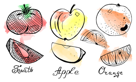 Vector set of hand drawn orange, apple and tomato with slices on watercolor background. Juice design template.のイラスト素材