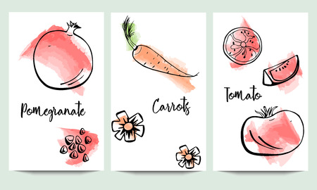 Original package design template with hand drawn pomegranate, tomato, and carrots with slices on watercolor background.のイラスト素材