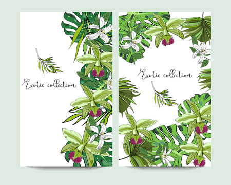 Vertical banners with exotic tropical flowers and leaves on white background.のイラスト素材