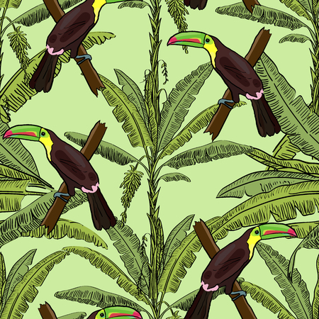 Tropical hand drawn exotic collection seamless pattern with banana palms and toucans. Package, wallpaper, textile, cover, design.のイラスト素材
