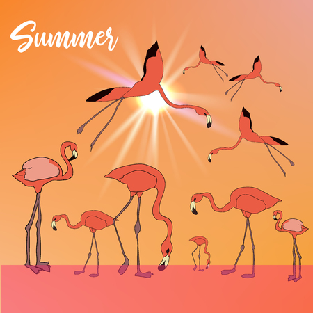 Summer tropical vector banner or flyer with flamingos flying and standing in the river and evening sun.のイラスト素材