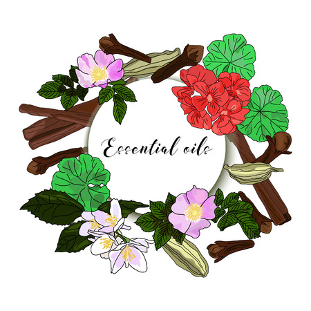 Vector drawn essential oils design banner. Package design idea. Wild rose, jasmine, geranium, cardamom, cinnamon sticks, clove budsのイラスト素材