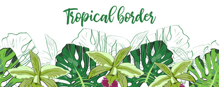 Tropical leaves, flowers seamless pattern border frame with space for text. Hand drawn sketch monstera, palm and orchids floral decoration for fabric, textile or graphic design.のイラスト素材