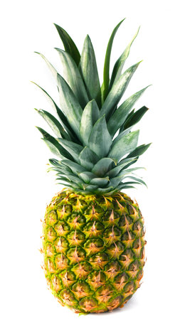 Ripe pink pineapple with leaves on a white background, for use on labels.の写真素材