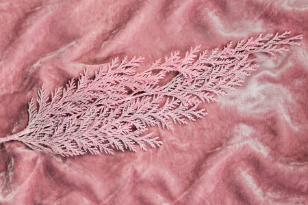 Festive background. Pink branch on a delicate pink velvet fabric.の写真素材