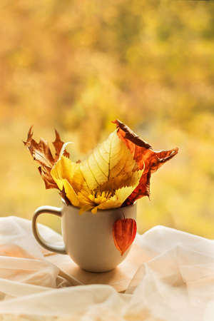 Autumn background.Bouquet of autumn leaves in a cup on a bright blurred background with copy space.の写真素材