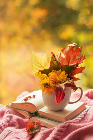 Autumn background. A bouquet of autumn leaves and flowers in a cup on an open book on a bright blurred background. Season of learning and knowledge.の写真素材