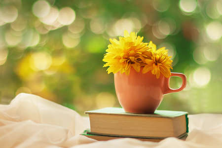 Autumn background. A bouquet of yellow flowers in a cup on a book on a bright blurred background with boke. Season of learning and knowledge.の写真素材