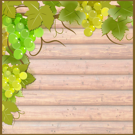square frame decorated with a beautiful vine with grapes on a wood background, for social networksの写真素材