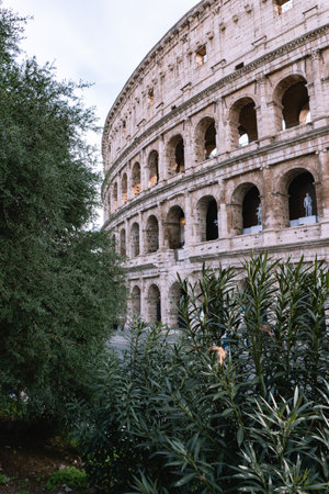 Majestic Colosseum Rome Ancient Wonderの写真素材