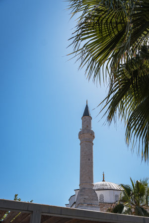 Mosque minaret framed by palm leaves under a blue sky in Turkey. High quality photoの写真素材
