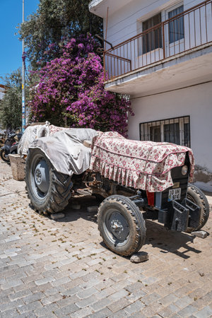 An old red tractor, partially covered with a ruffled floral fabric, is parked on a cobbled street with a purple bougainvillea bushの写真素材