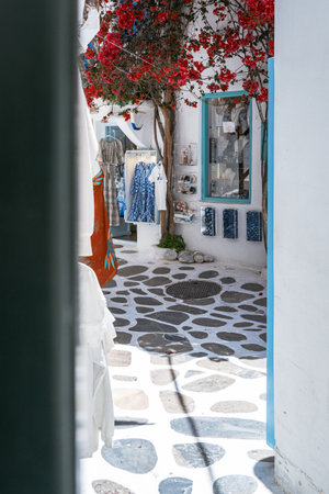 A sun-drenched alley with a shop window and a bougainvillea tree in Mykonos. High quality photo. A vibrant bougainvillea tree and a shop display with a blue-framed window are featured on a traditional cobblestone street in Mykonos.の写真素材