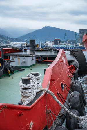 A detailed view of a white and red tugboat docked in a port under a cloudy sky.